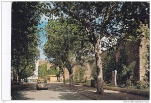 cpm   algerie tlemcen  le mechouar