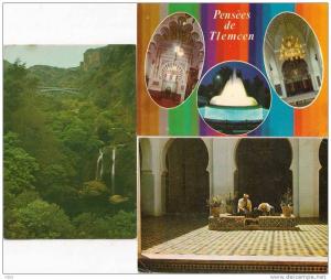 ALGERIE . TLEMCEN . 3  cartes . CPM .