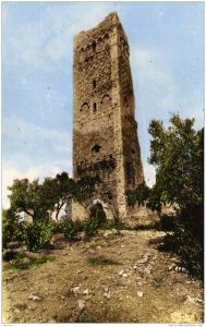 ALGERIE / ALGERIEN   Tlemcen   Les ruines de Mansourah