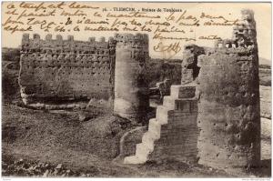 ALGERIE / ALGERIEN   Tlemcen  Ruines de Toubiana