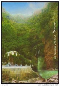 Carte postale Les Cascades d'El-Ourit  Tlemcen. Qualité SNED