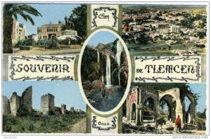 SOUVENIR DE TLEMCEN   Multivue