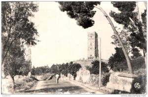 ALGERIE TLEMCEN LES RUINES DE MANSOURAH CPSM CIRCULEE