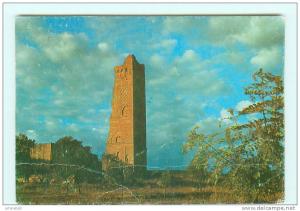 TLEMCEN  Minaret de Mansourah
