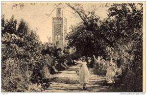 N° 13 - TLEMCEN - MINARET D'AGADIR