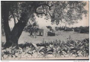 AFRIQUE - ALGERIE - TLEMCEN - VUE SUR LES TOMBEAUX DU CIMETIERE DE SIDI BOU M