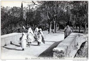 TLEMECEN ROUTE DE SIDI BOU MEDINE