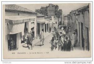 AFRIQUE  /  ALGERIE  /  TLEMCEN      VUE GENERALE      CPA  9x14