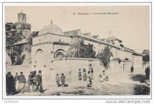 AFRIQUE  /  ALGERIE  /  TLEMCEN      VUE GENERALE      CPA  9x14