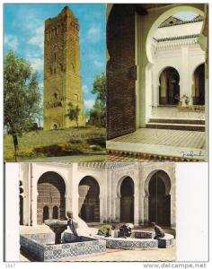 Algérie  -   Petit Lot  de  3 CPSM      -  TLEMCEN   -  voir  scan pour détails...