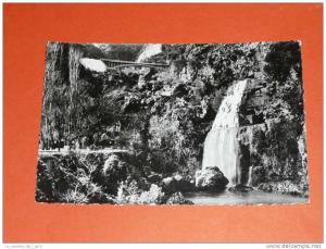 CPSM dentelée, Carte Postale, Algérie, Tlemcen, Les cascades