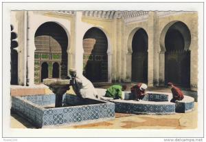 tlemcen intérieur de la grande mosquée  ablutions