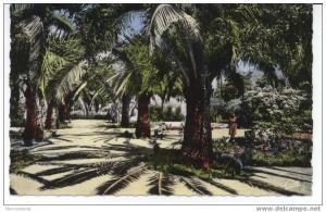 Tlemcen. Le jardin public.