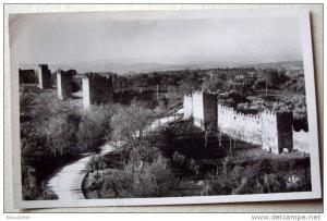 Algérie - CP N° R347 - Tlemcen - CPSM/E