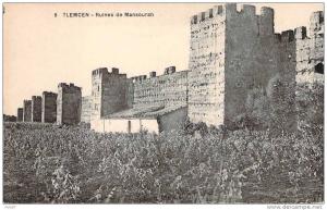 CPA   Tlemcen Ruines de Mansourah   D686