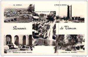 CPSM (format cpa)   Souvenir de Tlemcen    (animée)   D465