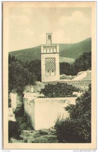 ALGERIE - Mosquée de Sidi-Lahssen à TLEMCEN
