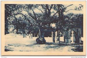 ALGERIE - TLEMCEN - Le Bois de Boulogne