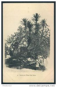 Algerie TLEMCEM Source oued Sidi Yahia