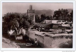 CPA (photo)   Tlemcen Village et Minaret de Sidi Lhassen   B541
