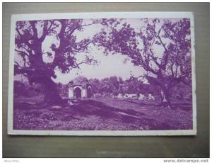 ALGERIE   EX COLONIE FRANCAISE   CENTENAIRE EN 1930 TLEMCEN BOIS DES OLIVIERS & TOM TERRE ACCUEILLANTE /SITE INOUBLIABLE