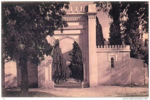 Afrique > Algérie -Tlemcen - Entrée du cimetière Musulman (- Editions   Serehen Tlemcen  n°93)*PRIX FIXE
