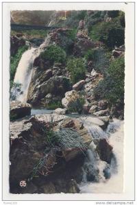 ALGERIE  tlemcen   ( recto verso )