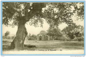 CARTE POSTALE 111 TLEMCEN TOMBEAU DE LA PRINCESSE . ND. LEVY ET NEURDEIN REUNIS 44 RUE LETELLIER PARIS IMP . CACHET 1928