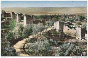 TLEMCEN cpsm Anciens Remparts de Mansourah            30 CAP