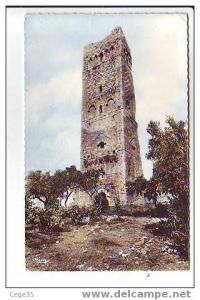 Algérie - Tlemcen - La Tour de Mensourh - Vieilles Ruines - CPSM P Format