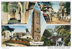 TLEMCEN  cp écrite au verso  édition du CAP n° 748 trés bon état