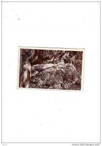 TLEMCEN        (algerie)    la grande cascade d 'el ourit