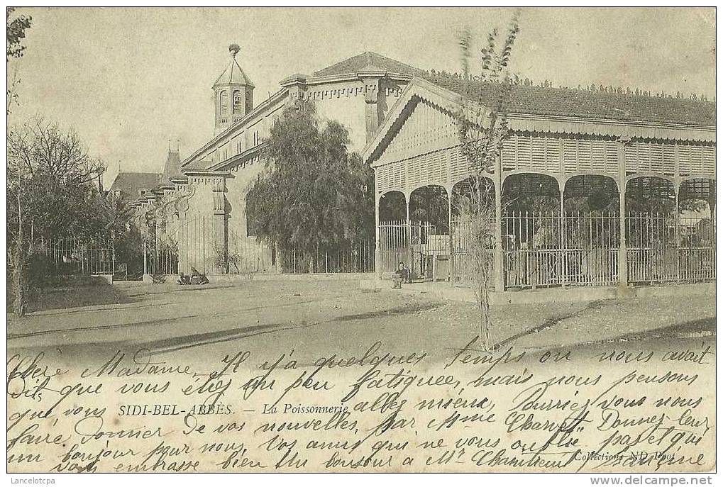 ALGERIE - SIDI BEL ABBES / LA POISSONNERIE