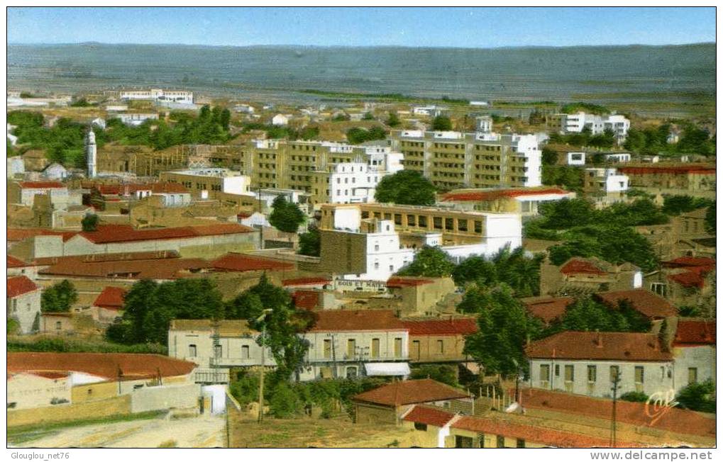 SIDI BEL ABBES...VUE GENERALE........CPS M  PETIT FORMAT