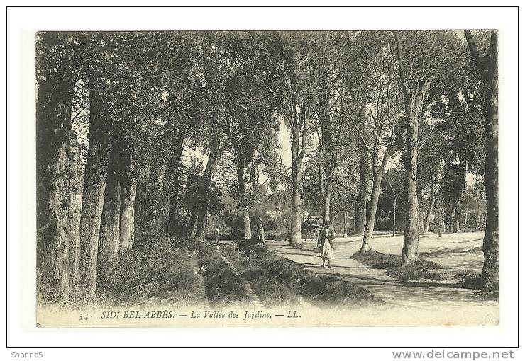 CPA Algérie Sidi Bel Abbès La Vallée des Jardins