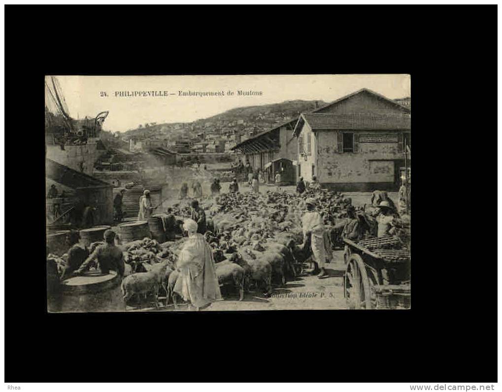 24. PHILIPPEVILLE - Embarquement de moutons