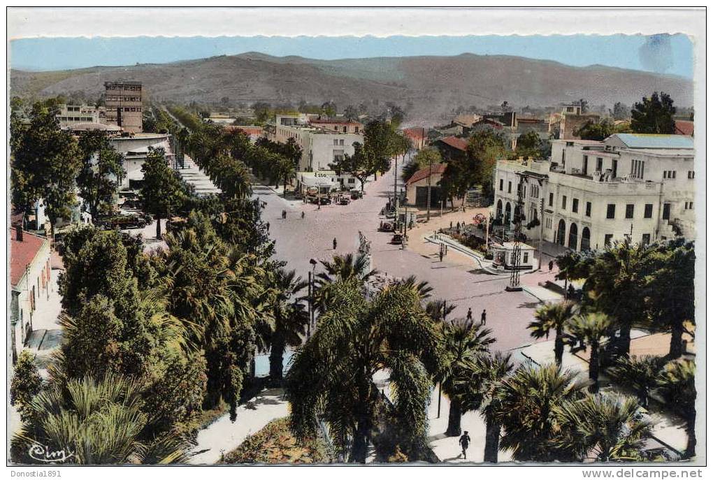 ALGERIE  SKIKDA . 9x14 dentelée , glacée .