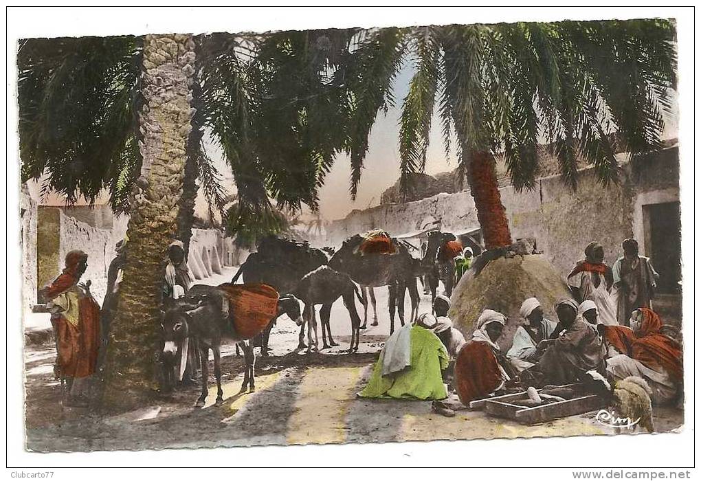 Alger (Algérie)   Daïa-Ben-Dahova à Ghardaia M'zab en 1950 (animée).