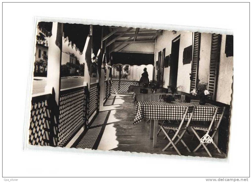 ALGERIE St Antoine, Auberge du Faisan Doré, Terrasse, ed EPA 1, CPSM 9x14, 195?
