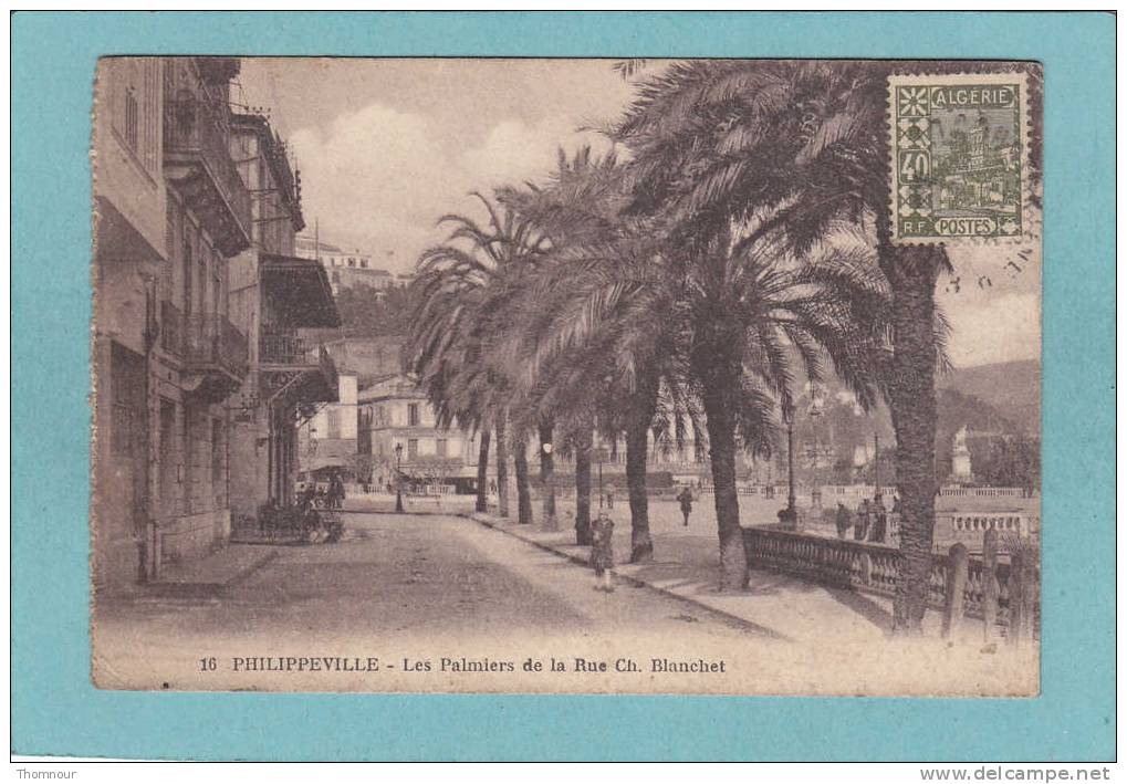 PHILIPPEVILLE  -  Les Palmiers de la Rue Ch. Blanchet  -   CARTE ANIMEE -