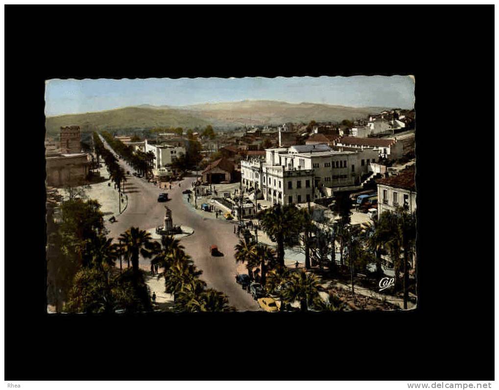 795 - PHILIPPEVILLE - L'Avenue Raymond-Barrot