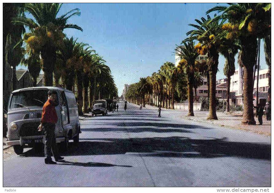 Carte postale Afrique  Algérie  Skikda  avenue du 20 Aout 1955 trés beau plan