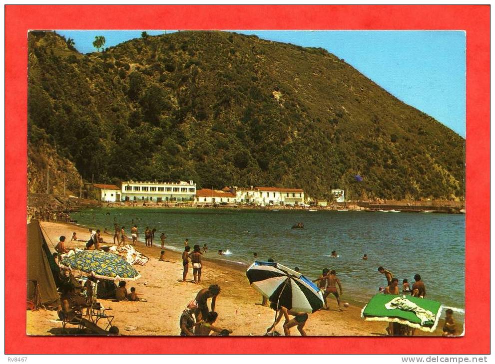 * ALGERIE-SKIKDA-1981