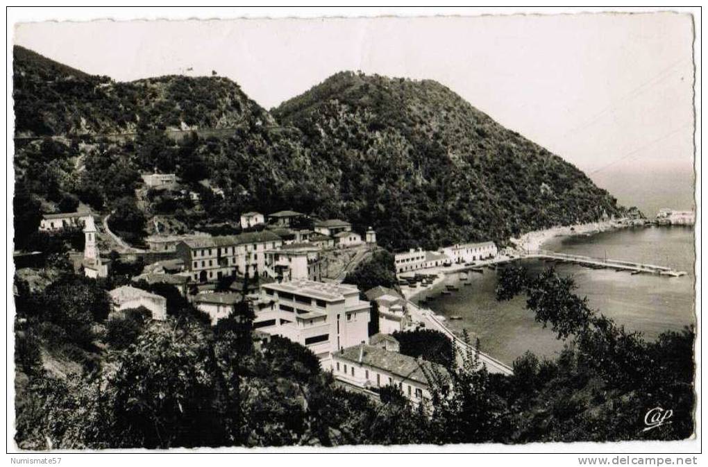 CPSM ALGERIE - PHILIPPEVILLE - Le Port de Pêche de Stora - CAP n°114