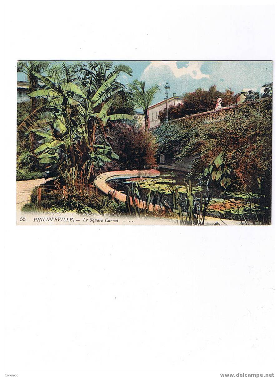 PHILIPEVILLE  SKIKDA      55 le square carnot   neuve