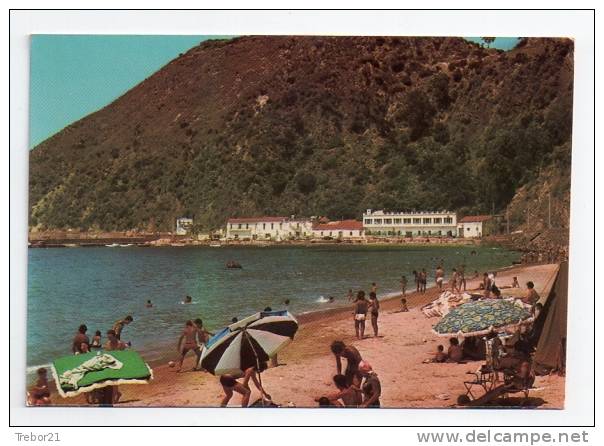 SKIKDA - La plage
