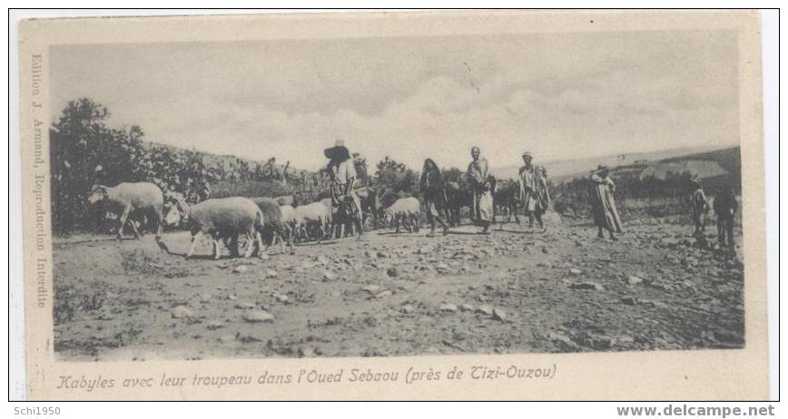 JP  .  ALGERIE  . KABYLES  près de TIZI OUZOU  .
