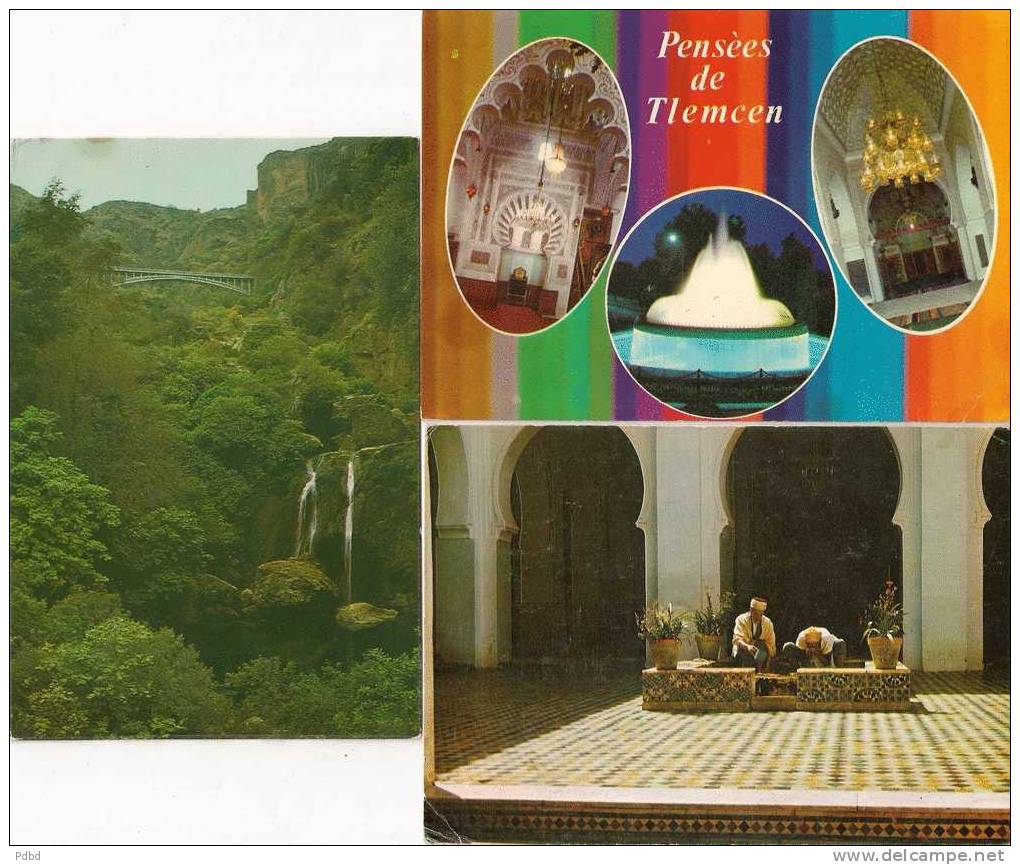 ALGERIE . TLEMCEN . 3  cartes . CPM .