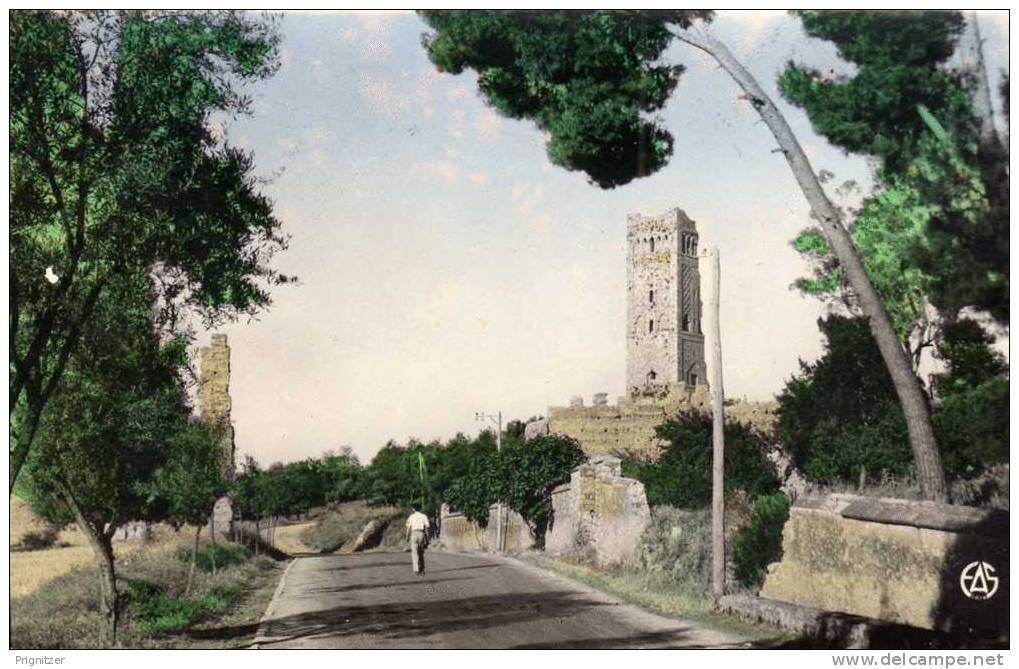 ALGERIE / ALGERIEN   Tlemcen   Les ruines de Mansourah