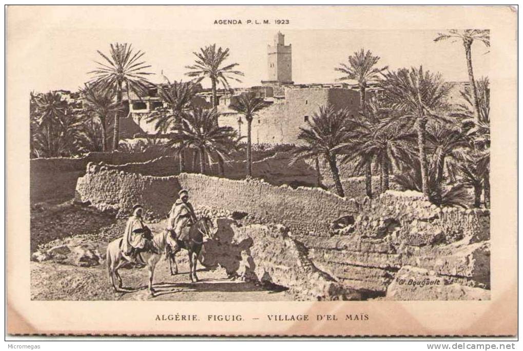 ALGERIE - FIGUIG - Village d' El Maïs